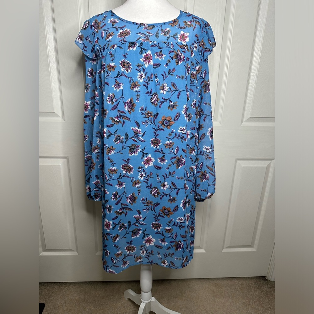 Babydoll Dress, blue floral print, long sheer sleeves, sz. L (12-14)